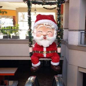 512645278 23987931487525857 8458027059836239322 n